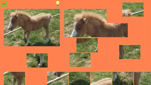 【免費解謎App】Horse Puzzle For Kids-APP點子