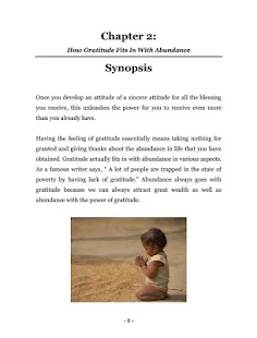 Gratitude For Today Screenshots 2