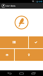 How to install Irish Birds 1.1 unlimited apk for android