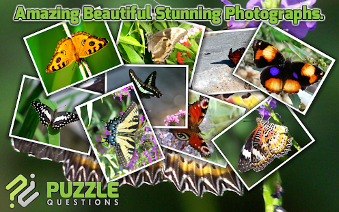 Free Butterfly Puzzle Games Screenshots 5