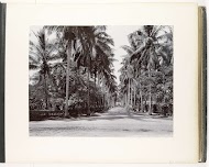 Gezicht langs de Deli Maatschappijlaan, Medan, Sumatra (Deli Mij. Laan)