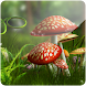 3D Mushroom (PRO) icon