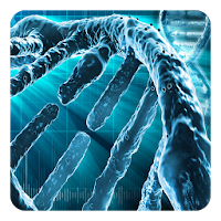 ドロイドのdnaライブ壁紙 Androidアプリ Applion