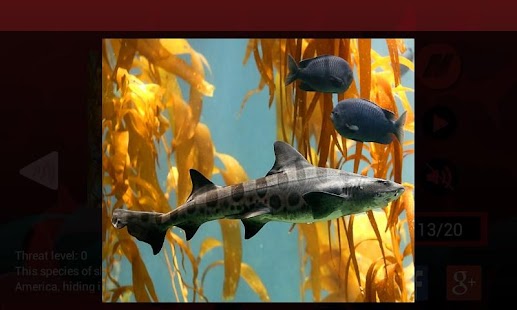 How to mod Best Sharks 1.6 mod apk for bluestacks