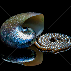 pearls? by Adjie Tjokrosoedarmo - Artistic Objects Still Life