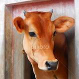 Who is there?? by Anoop Namboothiri -  