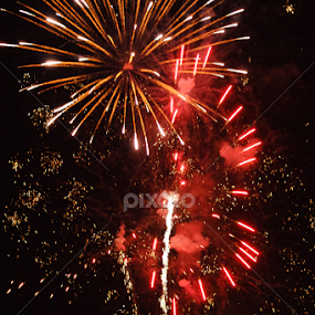 by Tracy Riedel-Dorsch - Public Holidays July 4th