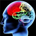 Glossary of Psychology logo