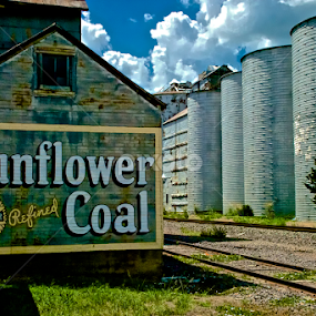 Sunflower Coal by Hugh Hazelrigg - Buildings & Architecture Other Exteriors