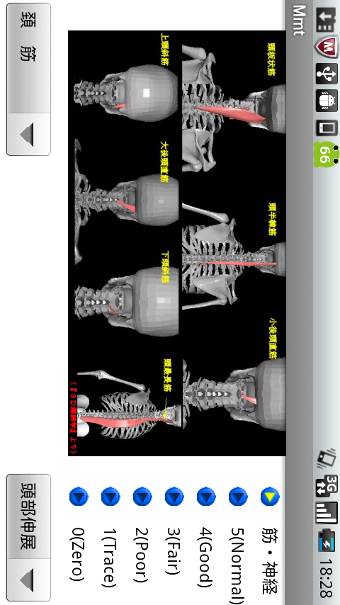 Android application 徒手筋力測定法(MMT) screenshort