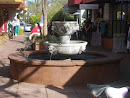 Lionhead Fountain