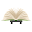 Read Racer: Speed Reading Free Download on Windows
