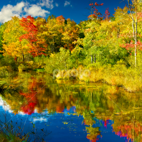 The Back Roads of Maine II by Scott Taft - Landscapes Waterscapes