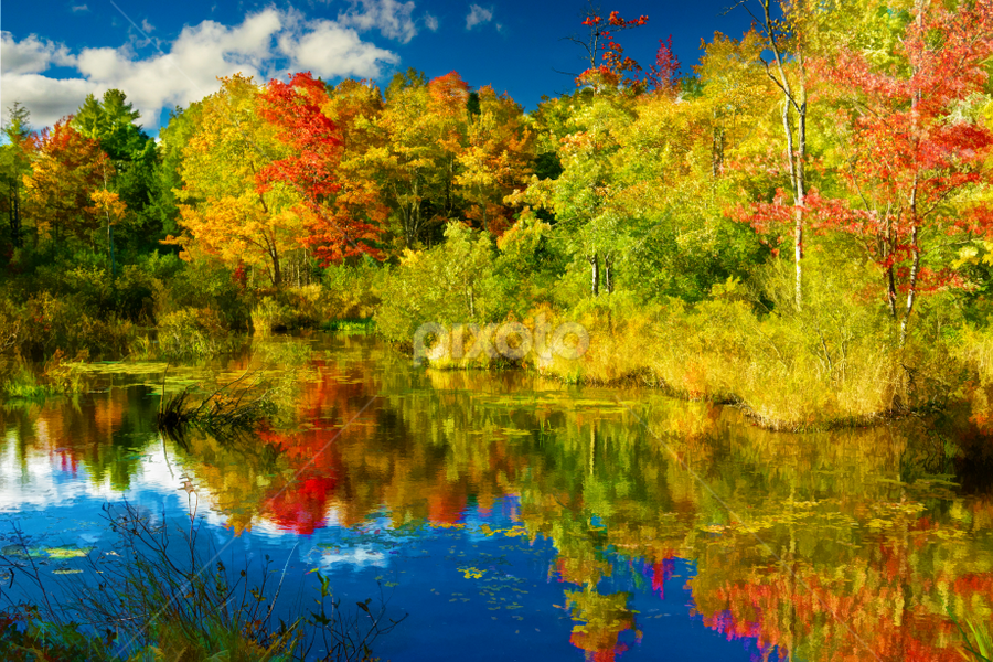 The Back Roads of Maine II by Scott Taft - Landscapes Waterscapes