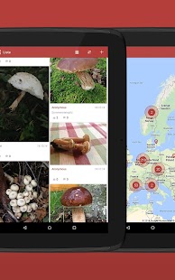 Pilze sammeln & bestimmen PRO Screenshots 22