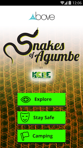 Snakes Of Agumbe