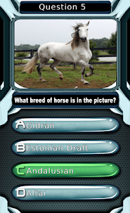 My Horse & Pony Breeds Quiz HD Screenshots 2