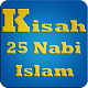 Kisah Nabi dan Rasul APK