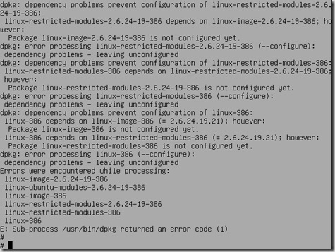 linuxvirtualpcproblem3