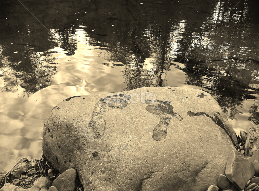 Two feet in. by Jeff Evans - Novices Only Objects & Still Life