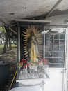 Virgen Guadalupe Villacoapa