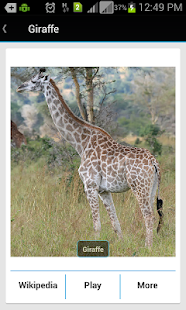 How to download Animal Sound & Photos for Kids patch 1.0 apk for pc
