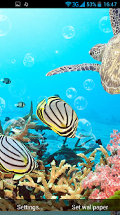 Podvodní svět Živá Tapeta - náhled