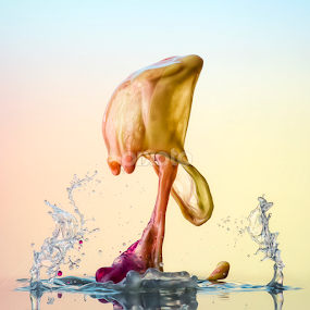 Wizard at work by Markus Reugels - Abstract Water Drops & Splashes