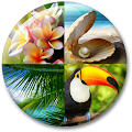 Tropical Live Wallpaper Apk