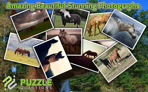 Horse Puzzles Screenshots 5