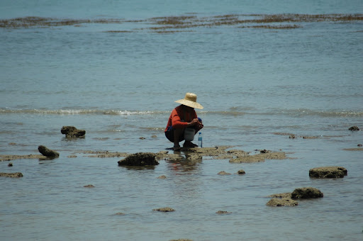 Luyang Carmen Cebu Beach Picture