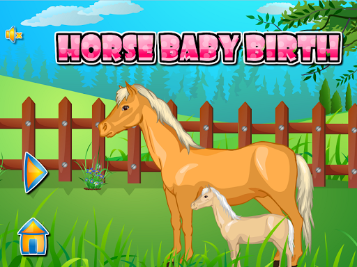 Horse Baby Birth