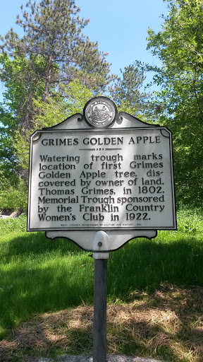Grimes Golden Apple