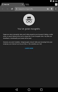 Chrome Browser - Google - screenshot thumbnail