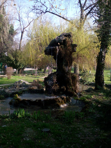 Fantasy Fountain