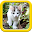 Cats puzzle Download on Windows