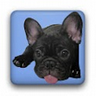 GameGuardian (ROOT ONLY) icon