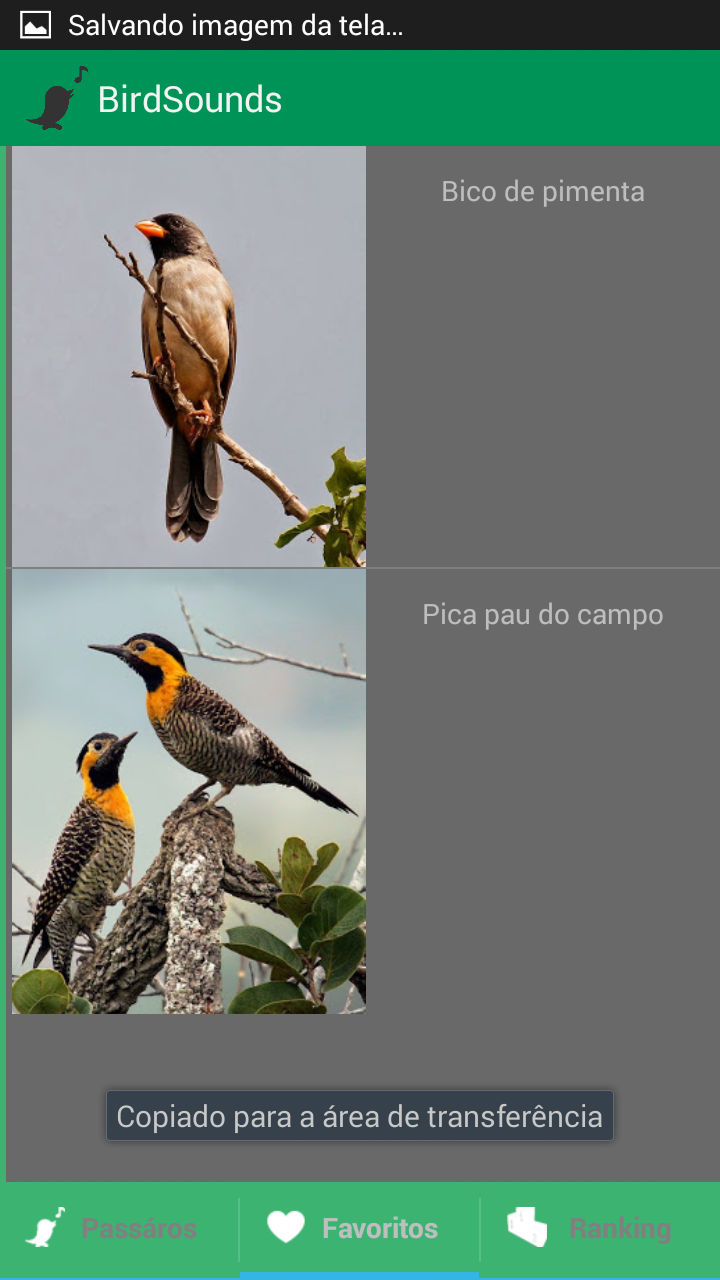 BirdSounds - Sons de Pássaros Screen 2