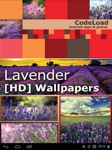 Lavender [HD] Wallpapers