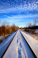 Staying Within the Lines by Phil Koch -  