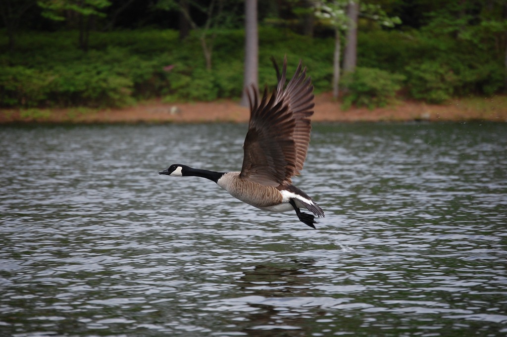 [DSC_0226[2].jpg]
