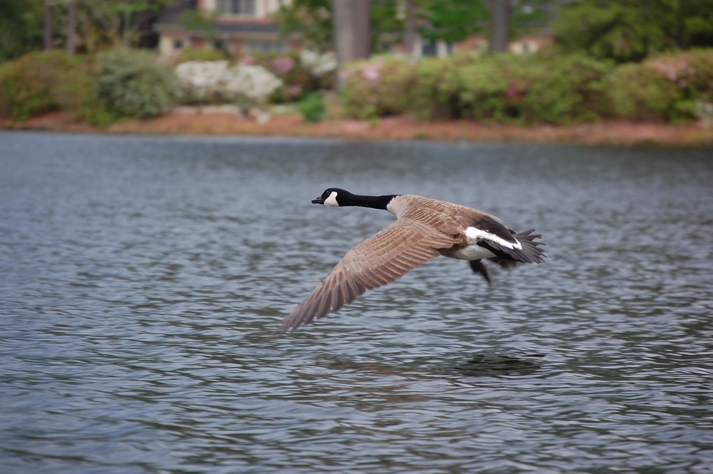 [DSC_0228[2].jpg]