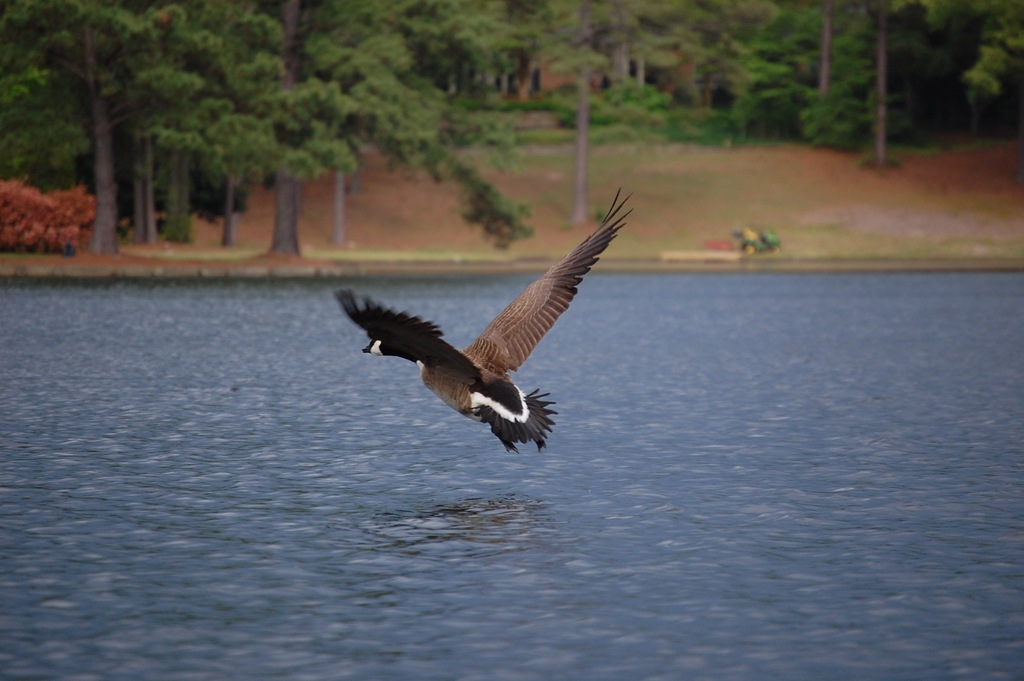 [DSC_0231[2].jpg]