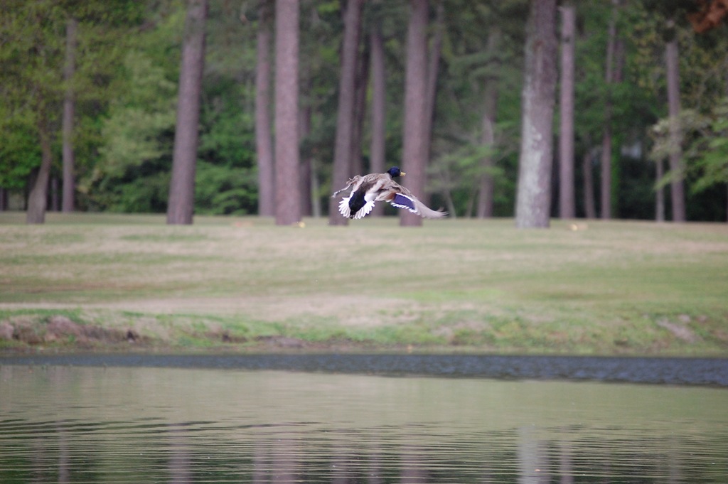 [DSC_0283[2].jpg]