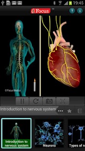 Free Download Anatomy Atlas - Animated APK