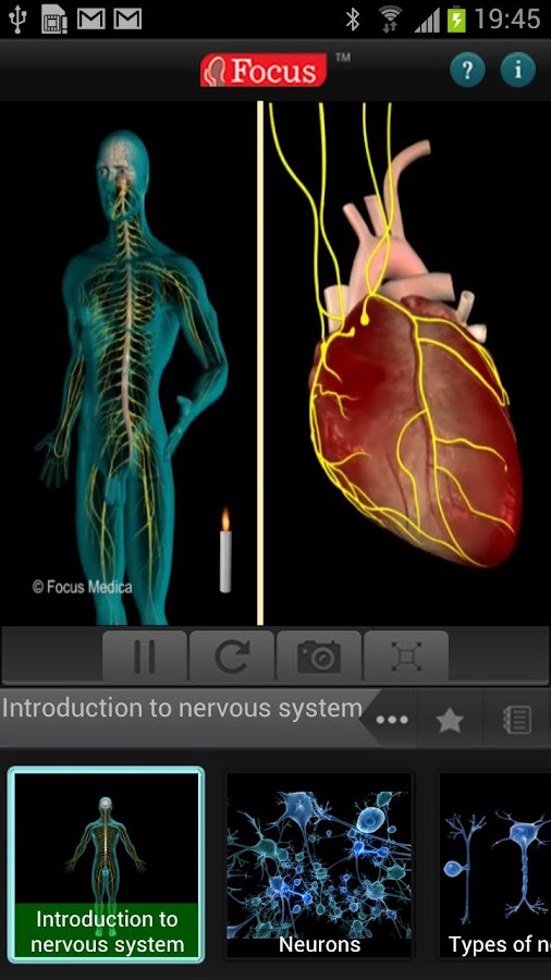 Anatomy & PhysiologyAnimated Android Apps on Google Play