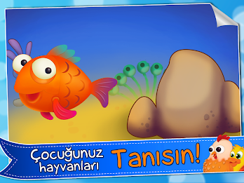 effort to find the most beautiful animals poster 8