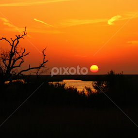 Louisiana Sunset by Shane Adams - Landscapes Sunsets & Sunrises