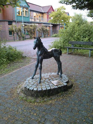 Wilma - Pferd