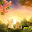 Kitten Sunset Wallpaper Free Download on Windows